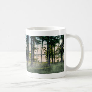 Dimmiga träd vid Table Rock Kaffemugg