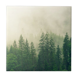 Dimmiga vinterträd i skogen kakelplatta