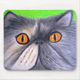Dimmigt grå färgperserkatten Mousepad Musmatta