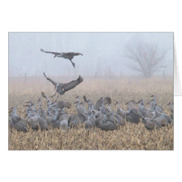 Dimmigt morgonNebraska landa Hälsningskort