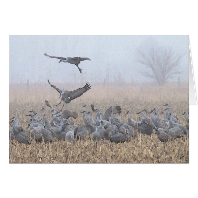 Dimmigt morgonNebraska landa Hälsningskort (Framsidan Horizontal)