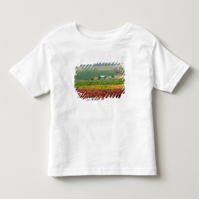 Dimmigt töcken kryper över Gehring Brothers Winery Tee (Framsida)