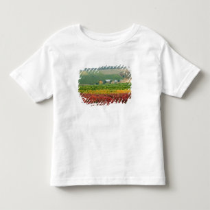 Dimmigt töcken kryper över Gehring Brothers Winery Tee Shirt