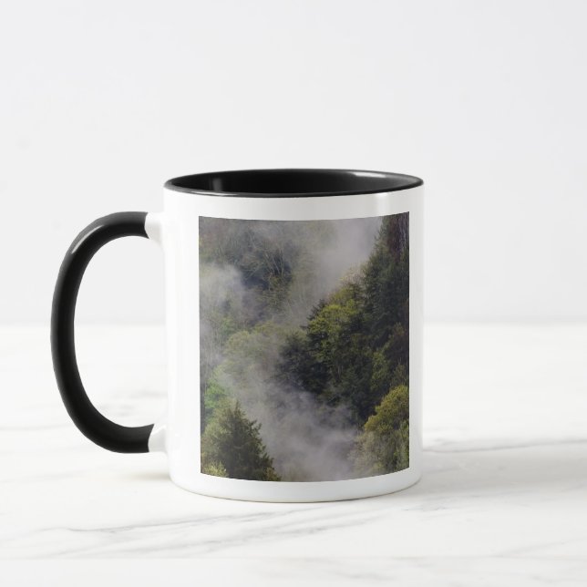 Dimmor som stiger från bergssidan efter vårregn, mugg (Vänster)