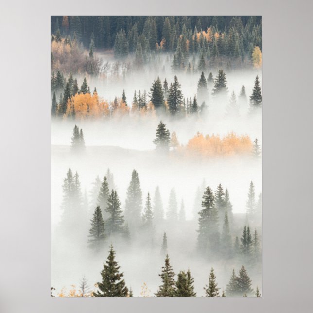 Dimmornas markdimma täcker bergsskog poster (Framsidan)