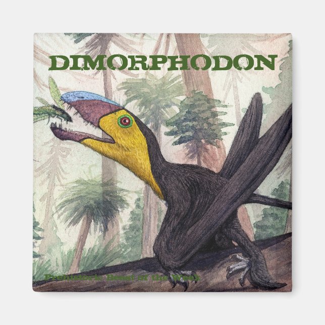 Dimorphodon Magnet (Framsidan)