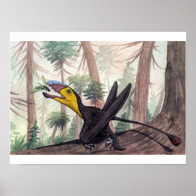 Dimorphodon Skriv ut Poster (Framsidan)