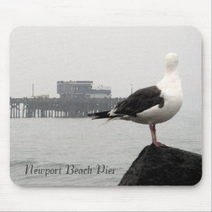 Dimt Newport Pier & Sillkonstavlor Musmatta