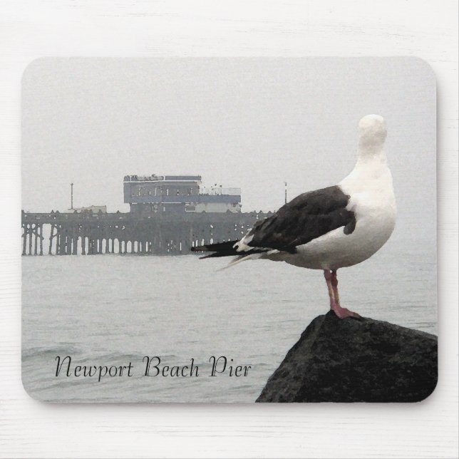 Dimt Newport Pier & Sillkonstavlor Musmatta (Framsidan)