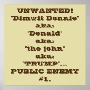 "Dimwit Donnie" Trump, offentlig fiende #1 poster