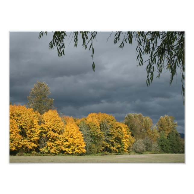 Din Anpassningsbar 16 x 12-tums fotoutvidgning Fototryck (Framsidan)