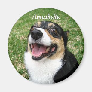 Din Anpassningsbar Pet Photo Lägg till din Hund h Magnet