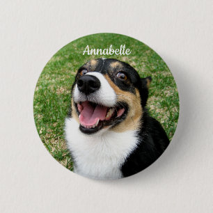 Din Anpassningsbar Pet Photo Lägg till din Hund hä Knapp