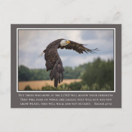Din CoIor Vingar som Eagles Isaiah 40:31 Bible Vykort