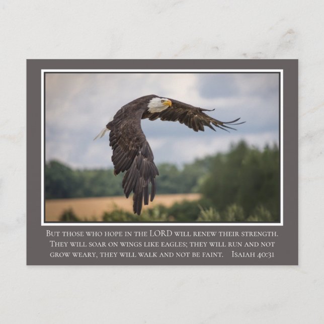Din CoIor Vingar som Eagles Isaiah 40:31 Bible Vykort (Framsida)