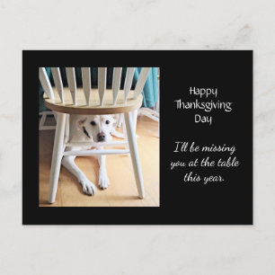 Din Cute White Hund Black-Thanksgiving saknas Vykort