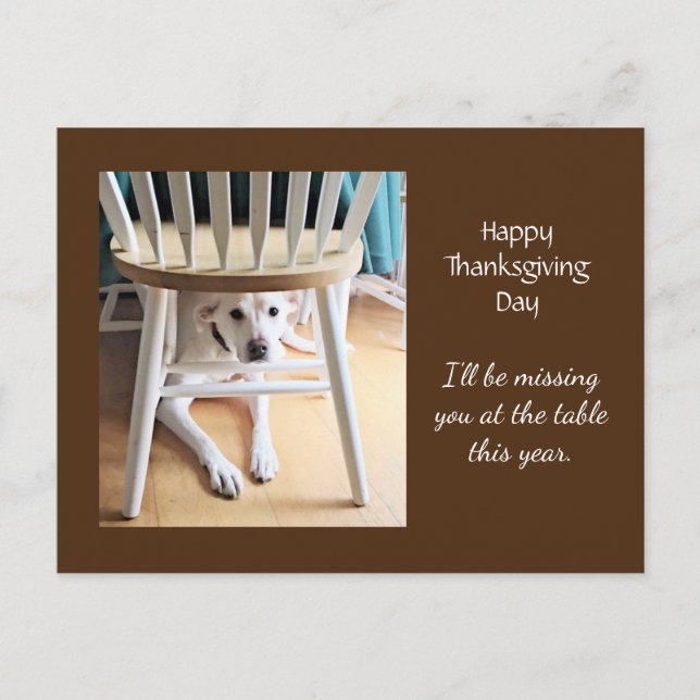 Din Cute White Hund Brown-Thanksgiving saknas Vykort (Framsida)