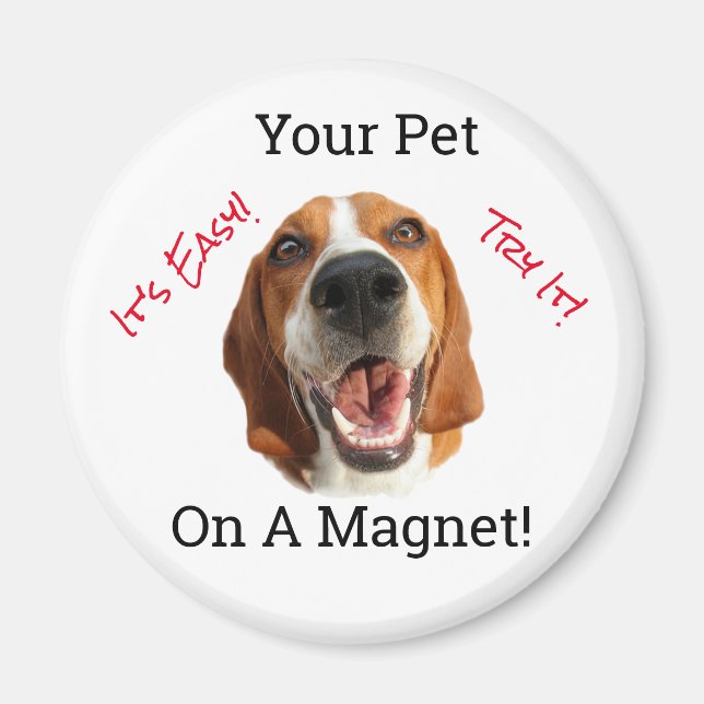 Din Djur På En  Magnet (Framsidan)