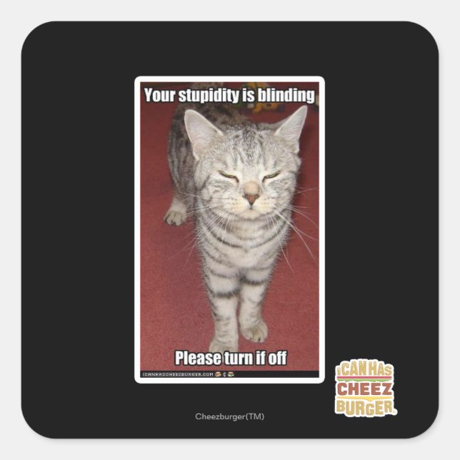 Din dumhet blinkar 2 fyrkantigt klistermärke (Framsida)