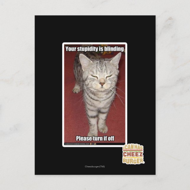 Din dumhet blinkar 2 vykort (Framsida)