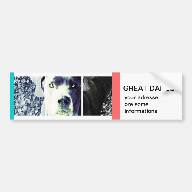 din egen Bildtext Bildekal (Framsidan)