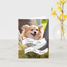 Din egen Hund för meddelanden