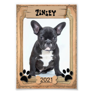 Din familjepet - dekorativ fotomall fototryck