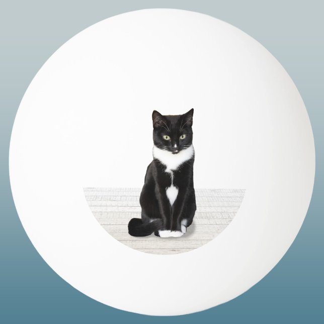 Din Favorit Husdjur Foto Minne Pingisboll (Custom cat photo pet lover ping pong ball)