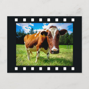 DIN FOTO i vykort för "filmremsa"