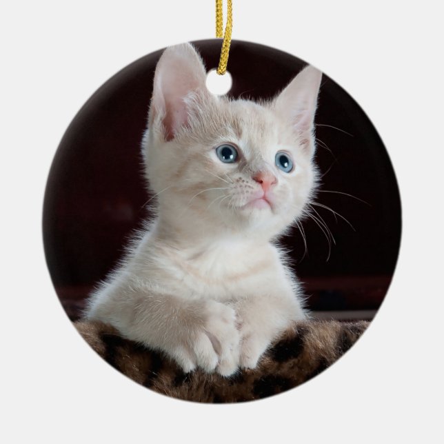 Din fotoanpassningsbar julgransprydnad keramik (Framsidan)