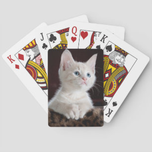 Din fotoanpassningsbarpassform casinokort