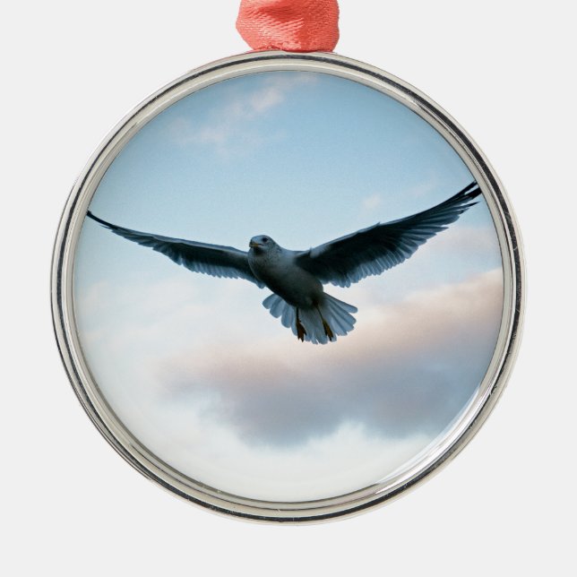 Din fria precis lika Jonathan Livingston Julgransprydnad Metall (Framsidan)