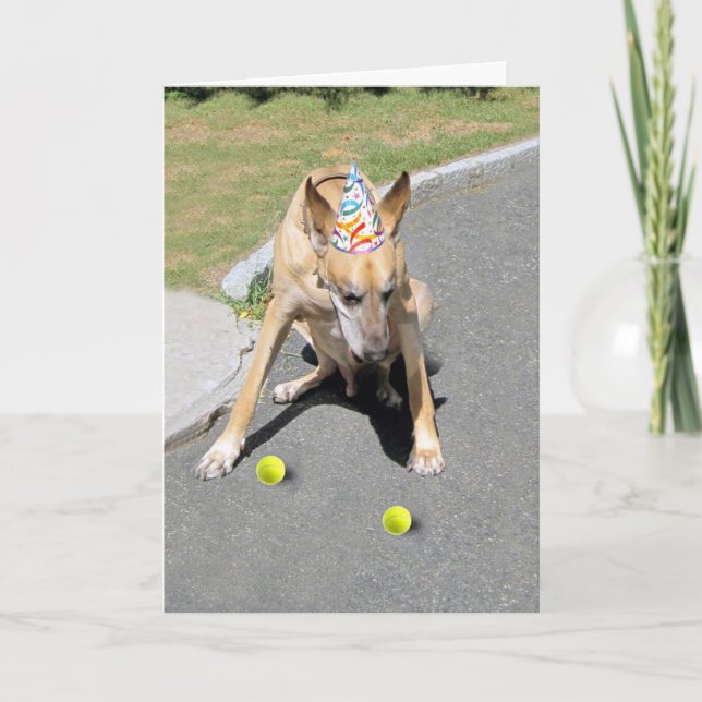 Din gamla Hund Kort (Framsida)