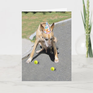 Din gamla Hund Kort