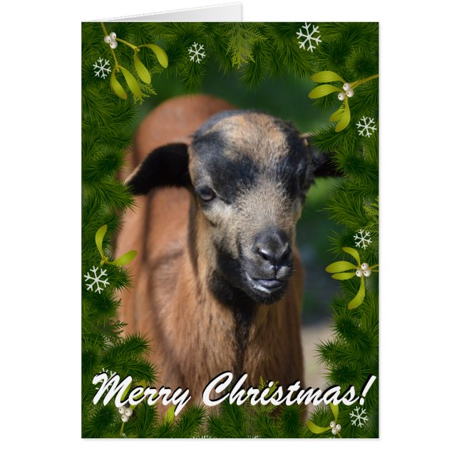 Din GOAT PHOTO i denna Boughand Mistletoe Ram Hälsningskort (Framsidan)