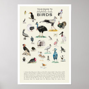 Din guide till Doofy Birds 11x17 Poster