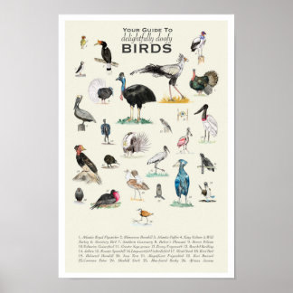 Din guide till Doofy Birds 11x17 Poster