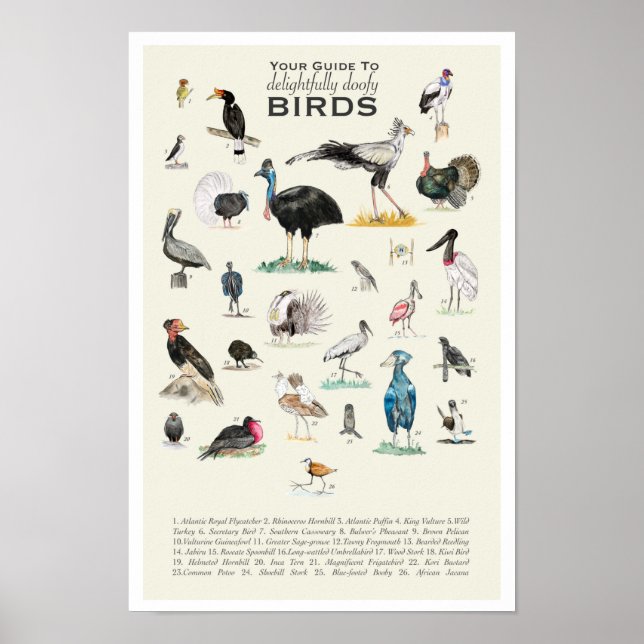 Din guide till Doofy Birds 11x17 Poster (Framsidan)
