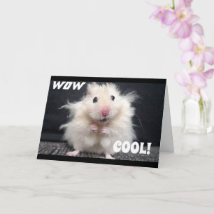 DIN HAR ***A KITTEN*** GRATTISAR** KORT