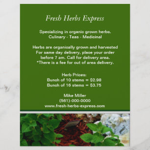 Din Herb Business Flyer