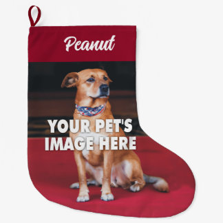 Din Hund-fotojulklapp Stor Julstrumpa