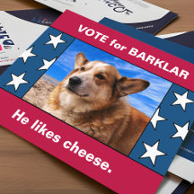 Din Hund i det amerikanska valet Kampanj Parody 20