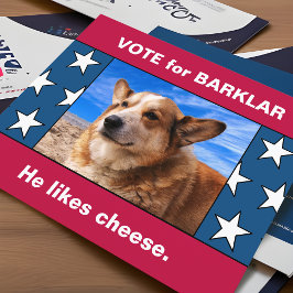 Din Hund i det amerikanska valet Kampanj Parody 20 Vykort