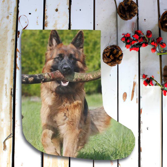 Din Hund-, katt- eller Pet-fotojul Stor Julstrumpa (Skapare uppladdad)