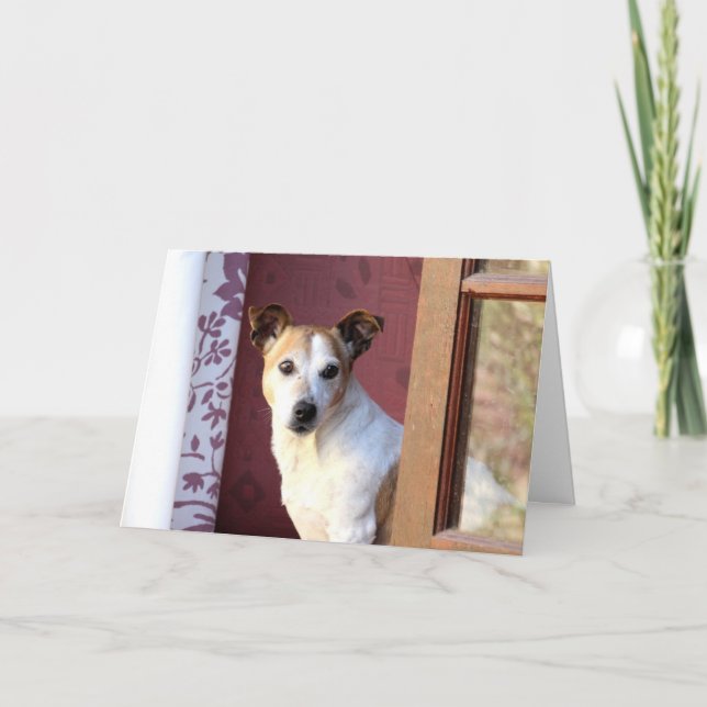 Din Hund saknas Kort (Framsida)
