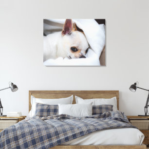 Din husdjurs hund valp anpassad bild chihuahua