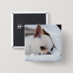 Din husdjurs hund valp anpassad bild chihuahua knapp