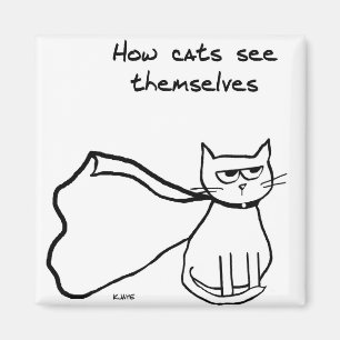 Din katt superheroen - rolig kattgåva magnet