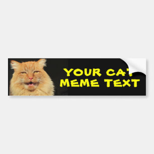 Din kattMeme text Bildekal