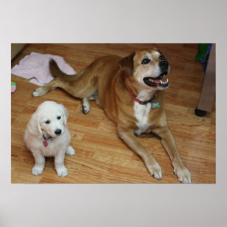 Din kommande spädbarn på papper poster